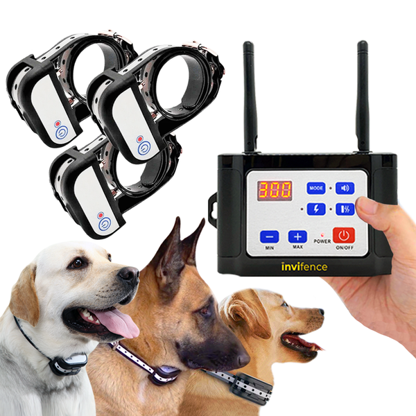 2 in 1 Wireless Dog Fence & Training Collar