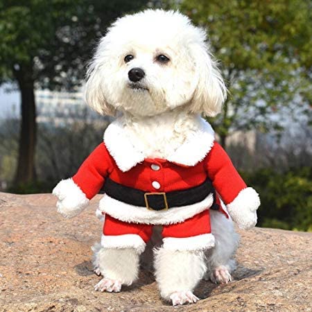 Holiday Walking Santa Pet Dog Costume