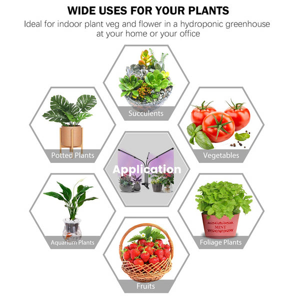 Grow Lights Plant Light for Indoor Plants Lamps Auto ON/Off Timer LED Grow Light