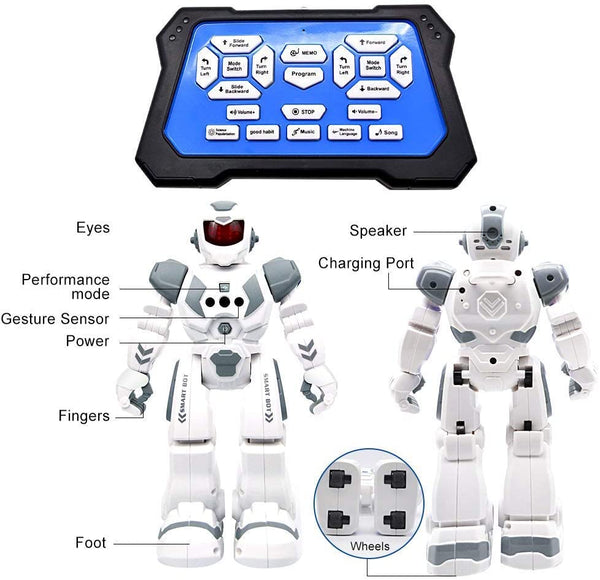 Remote Control Robot