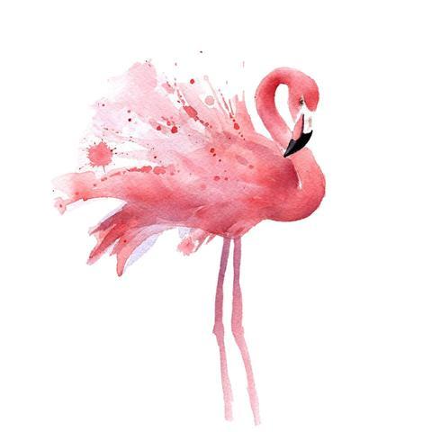 DIY Paint by Numbers Kit for Adults - Pink Flamingo