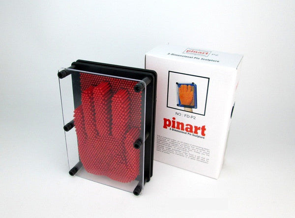 Pin Art DIY 3D Sculpture