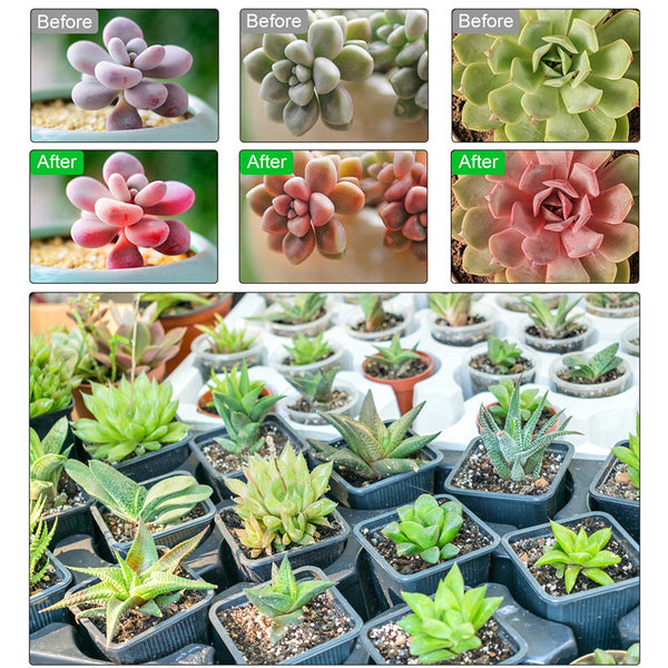 Grow Lights Plant Light for Indoor Plants Lamps Auto ON/Off Timer LED Grow Light