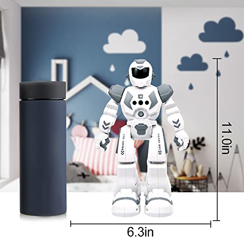 Remote Control Robot