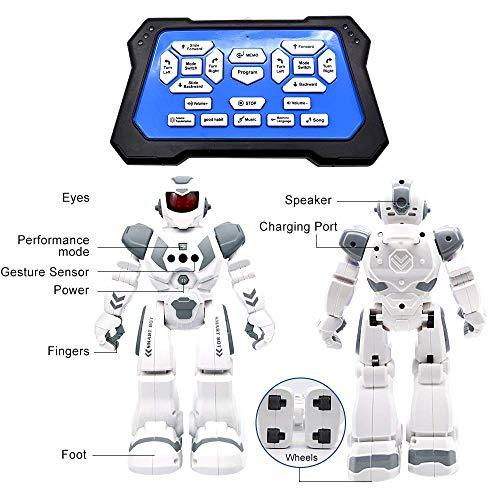 Remote Control Robot