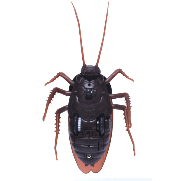 Remote-controlled Cockroach - A Fun Way To Prank Your Friends!(Collection)