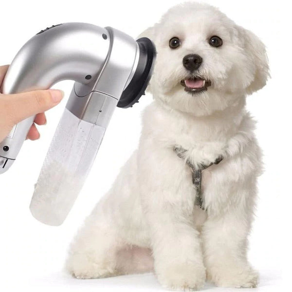 Best Handheld Vacuum For Pet Hair