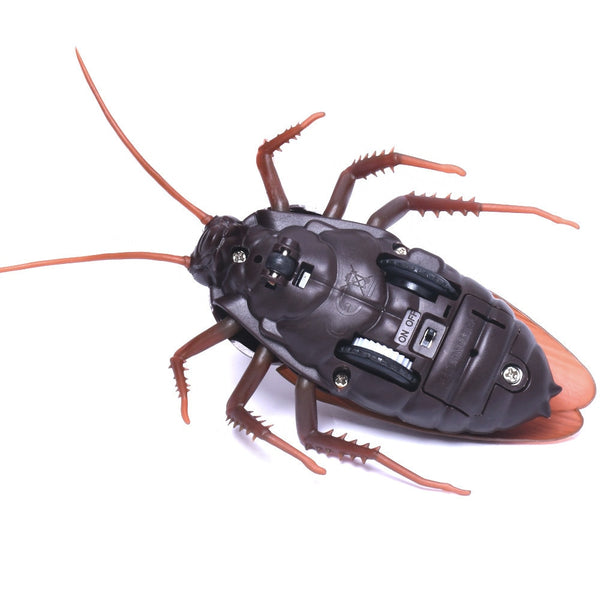 Remote-controlled Cockroach - A Fun Way To Prank Your Friends!(Collection)