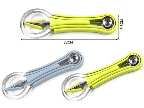 4 in 1 Stainless Steel Fruit Tool Set