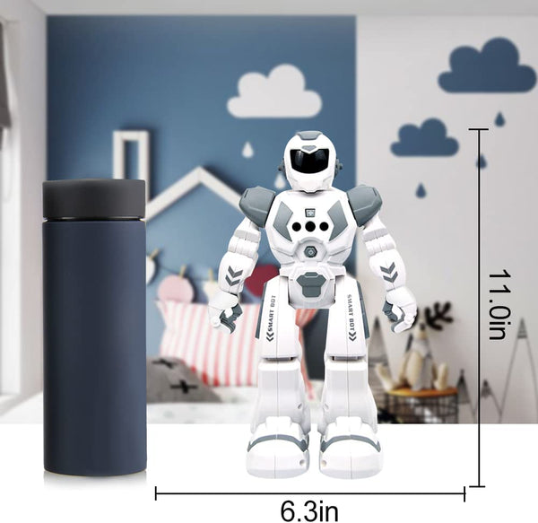 Remote Control Robot