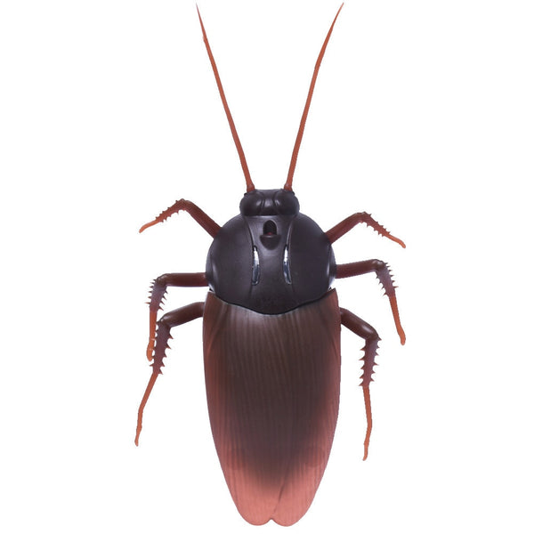 Remote-controlled Cockroach - A Fun Way To Prank Your Friends!(Collection)