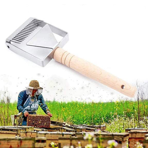 Honey Uncapping Scraper